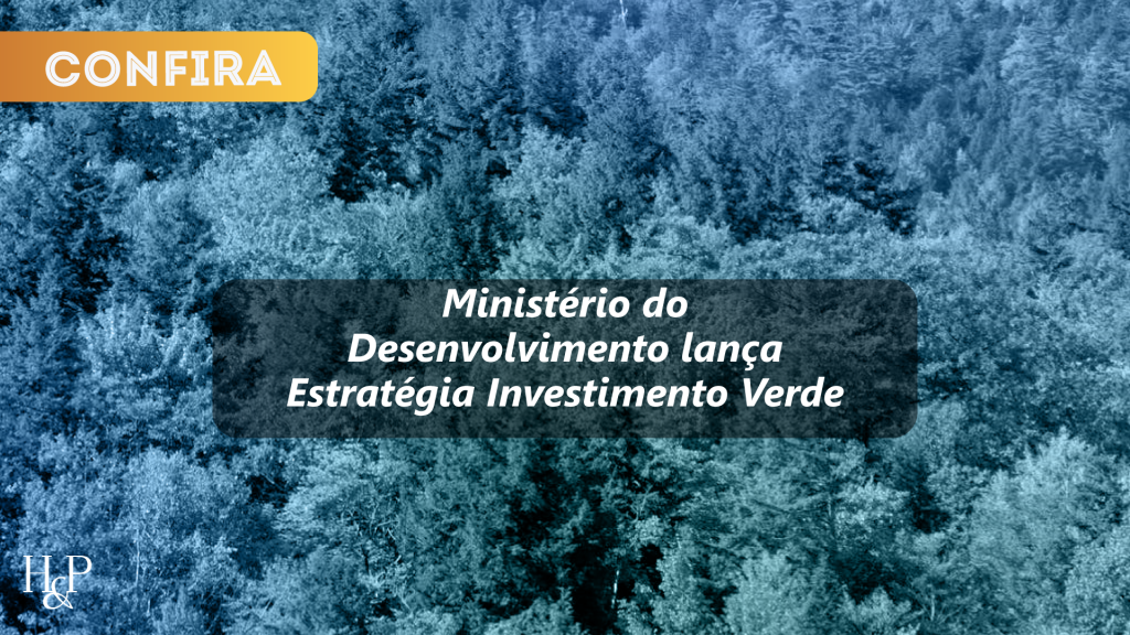 Ministério do Desenvolvimento lança Estratégia Investimento Verde