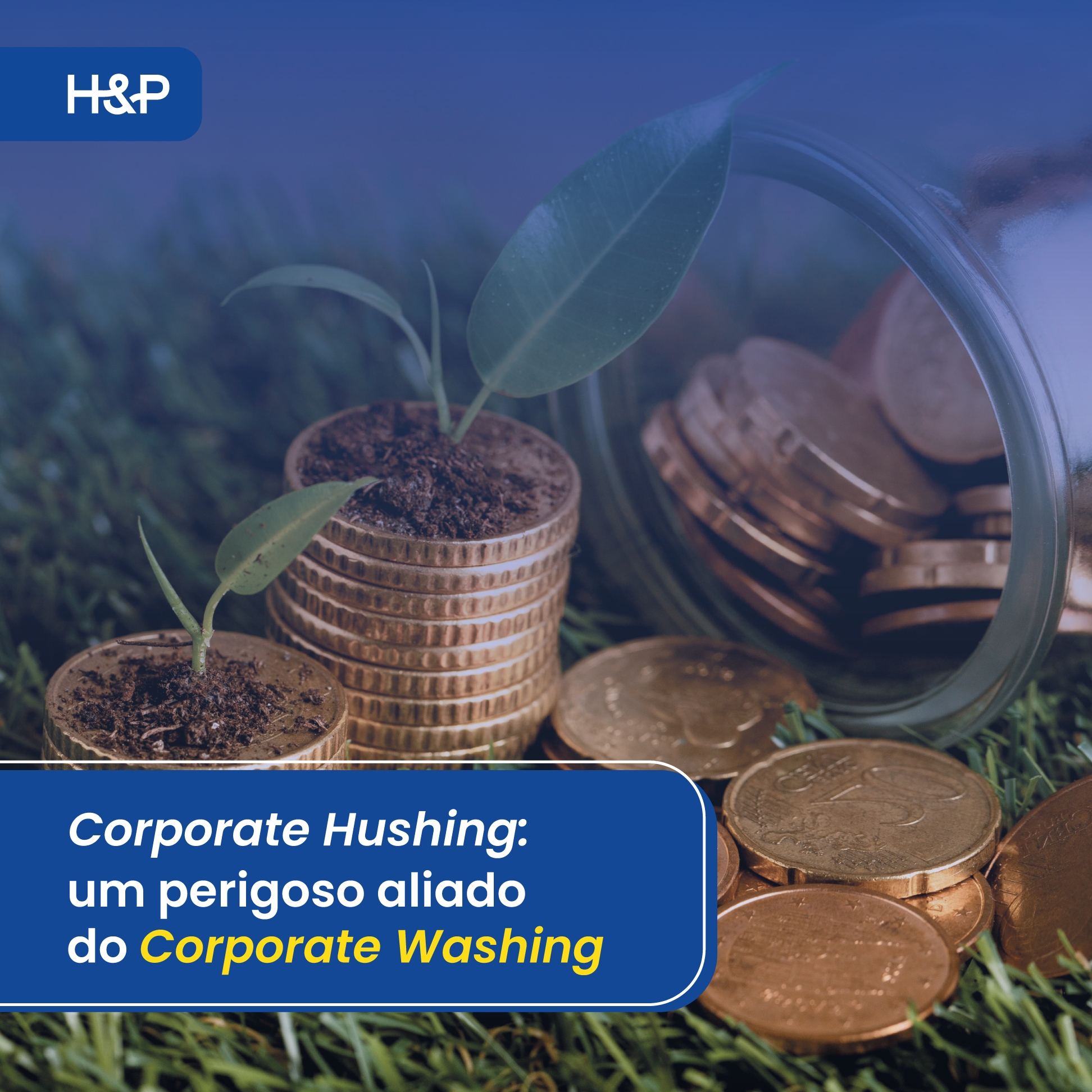 Corporate Hushing: um perigoso aliado do Corporate Washing