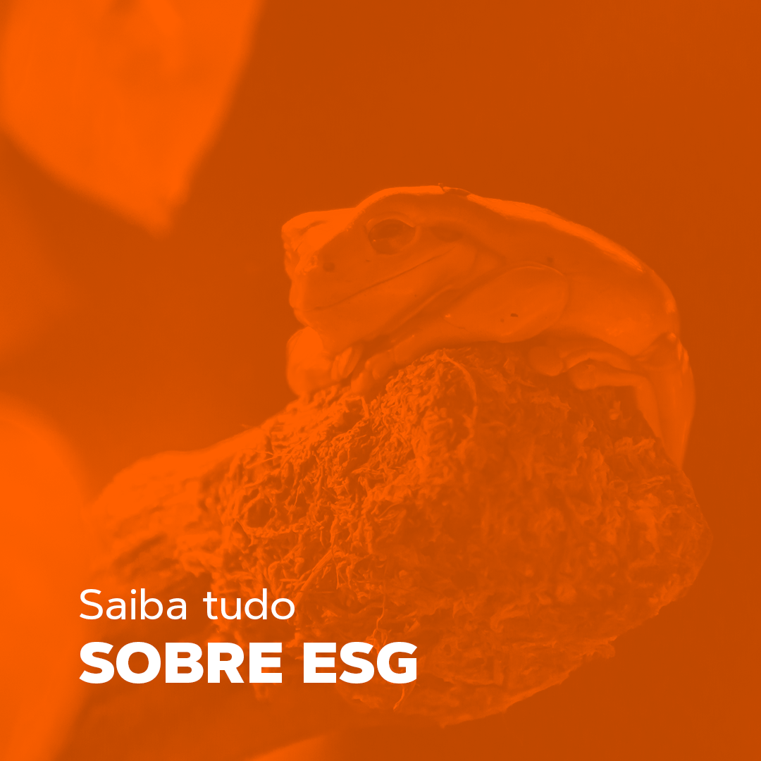 Como levar o ESG para minha empresa?
