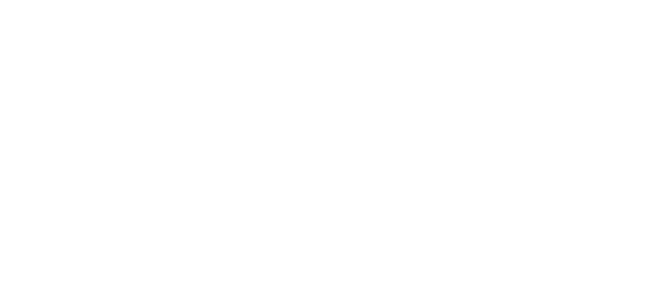Wise Decisio